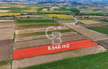 Çanakkale Tevfikiye Köyünde Satılık 8.546 m2 Tarla !