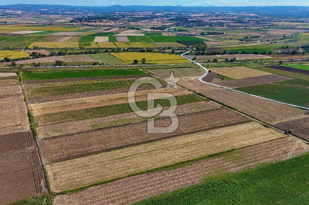 Çanakkale Tevfikiye Köyünde Satılık 8.546 m2 Tarla !
