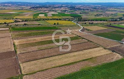 Çanakkale Tevfikiye Köyünde Satılık 5.213 m2 Tarla !