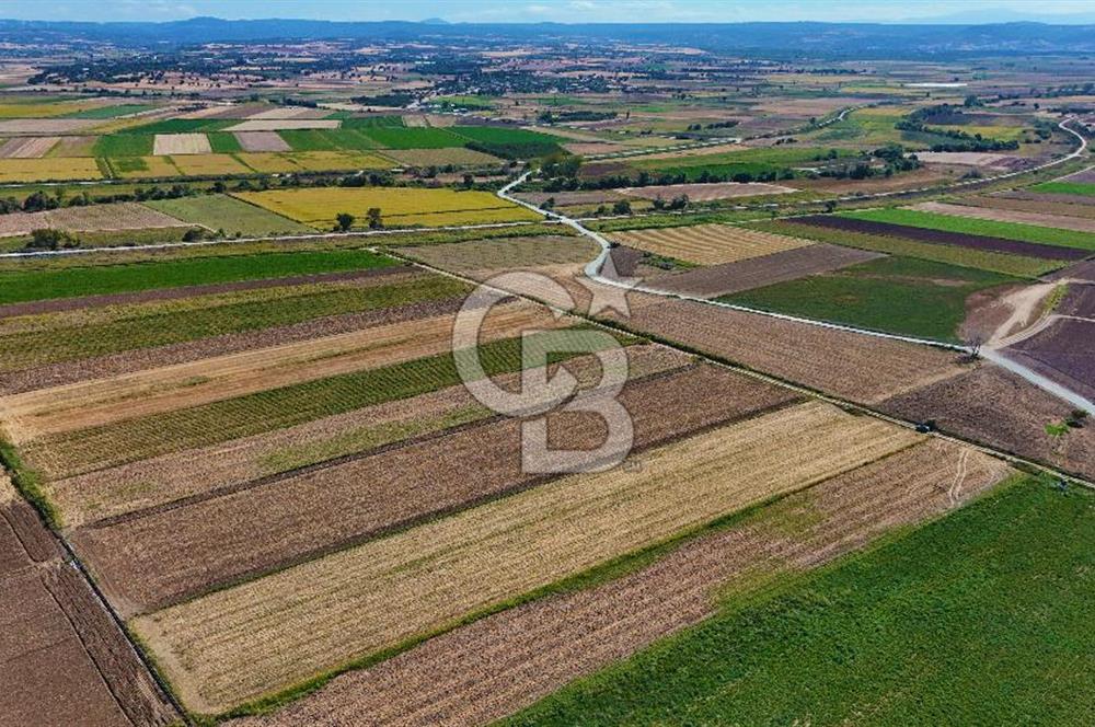 Çanakkale Tevfikiye Köyünde Satılık 5.213 m2 Tarla !