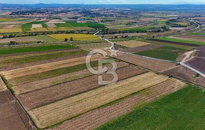 Çanakkale Tevfikiye Köyünde Satılık 5.213 m2 Tarla !