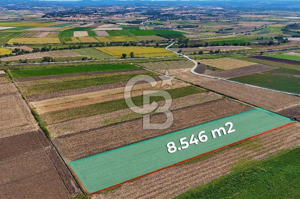 Çanakkale Tevfikiye Köyünde Satılık 8.546 m2 Tarla !