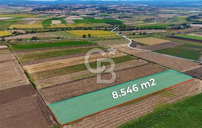Çanakkale Tevfikiye Köyünde Satılık 8.546 m2 Tarla !
