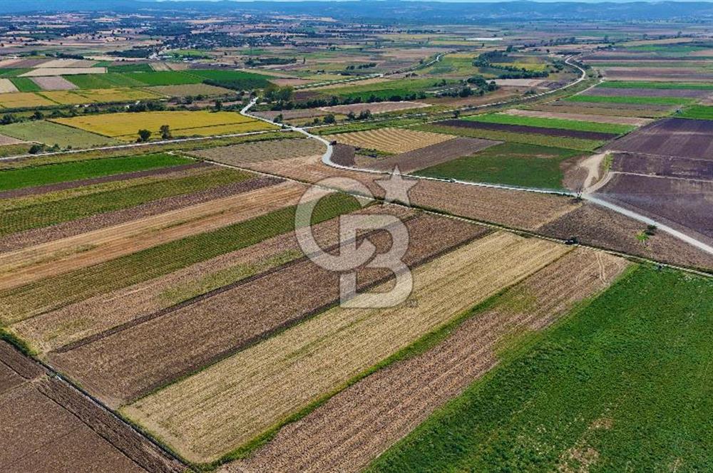 Çanakkale Tevfikiye Köyünde Satılık 8.546 m2 Tarla !
