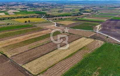 Çanakkale Tevfikiye Köyünde Satılık 8.546 m2 Tarla !