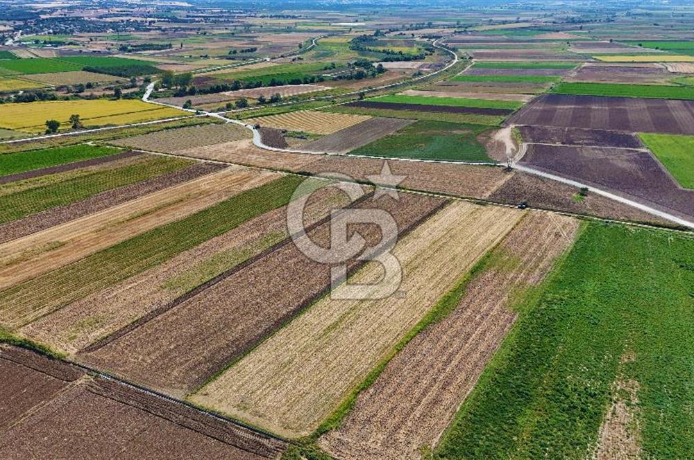 Çanakkale Tevfikiye Köyünde Satılık 5.213 m2 Tarla !
