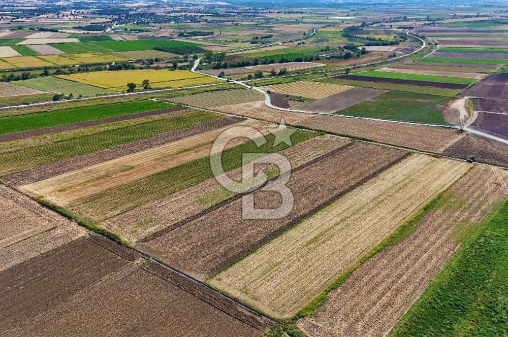 Çanakkale Tevfikiye Köyünde Satılık 5.213 m2 Tarla !