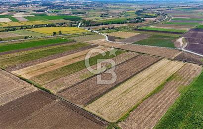 Çanakkale Tevfikiye Köyünde Satılık 5.213 m2 Tarla !