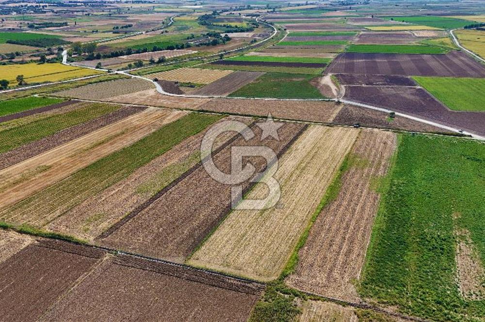Çanakkale Tevfikiye Köyünde Satılık 5.213 m2 Tarla !