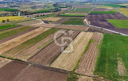 Çanakkale Tevfikiye Köyünde Satılık 5.213 m2 Tarla !