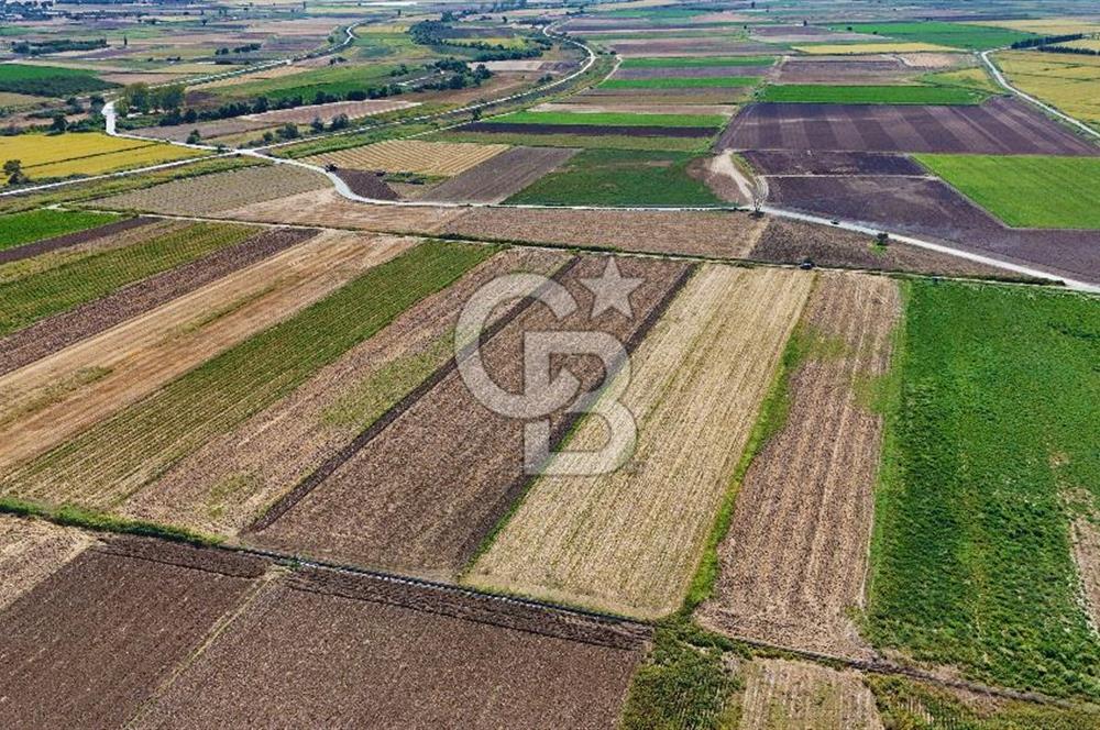 Çanakkale Tevfikiye Köyünde Satılık 8.546 m2 Tarla !