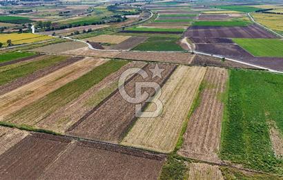 Çanakkale Tevfikiye Köyünde Satılık 5.213 m2 Tarla !