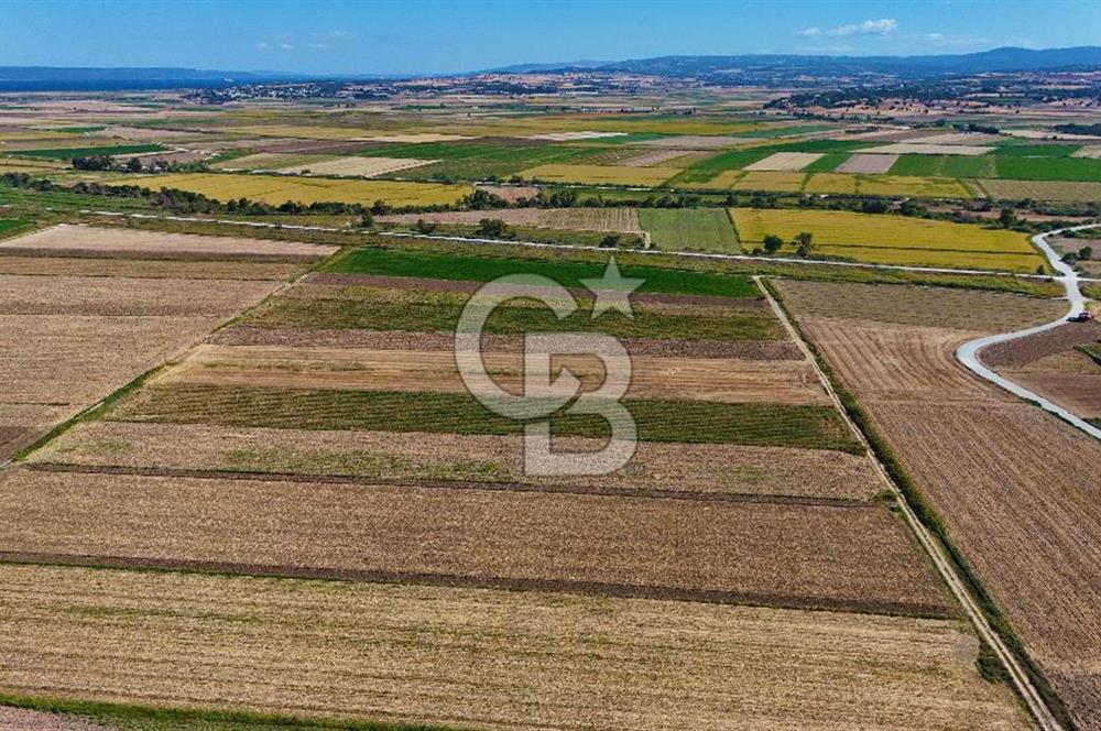 Çanakkale Tevfikiye Köyünde Satılık 8.546 m2 Tarla !