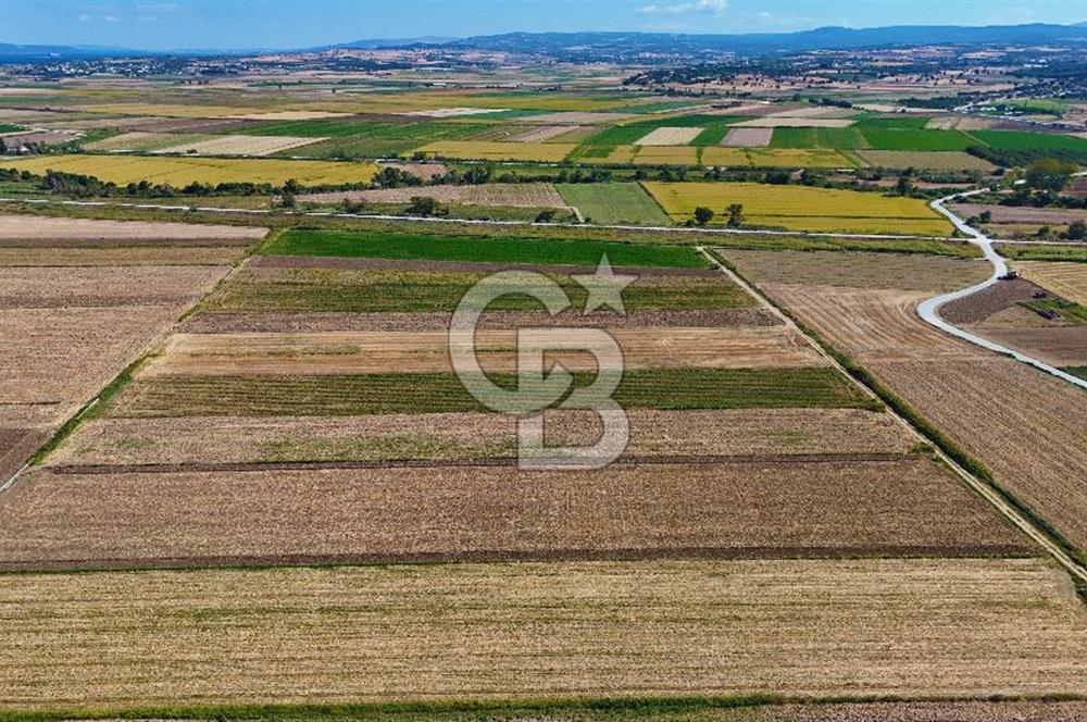 Çanakkale Tevfikiye Köyünde Satılık 8.546 m2 Tarla !
