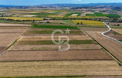 Çanakkale Tevfikiye Köyünde Satılık 8.546 m2 Tarla !