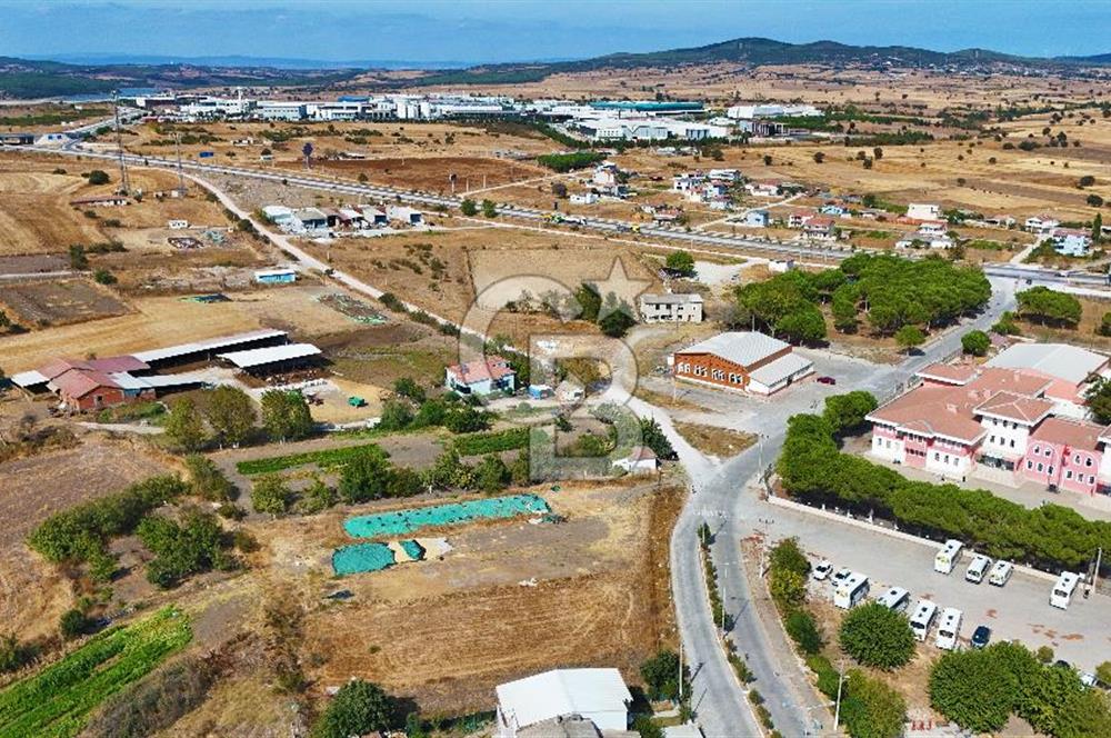 ÇANAKKALE BİGA BALIKLIÇEŞMEDE İMAR SINIRINDA FIRSAT TARLA