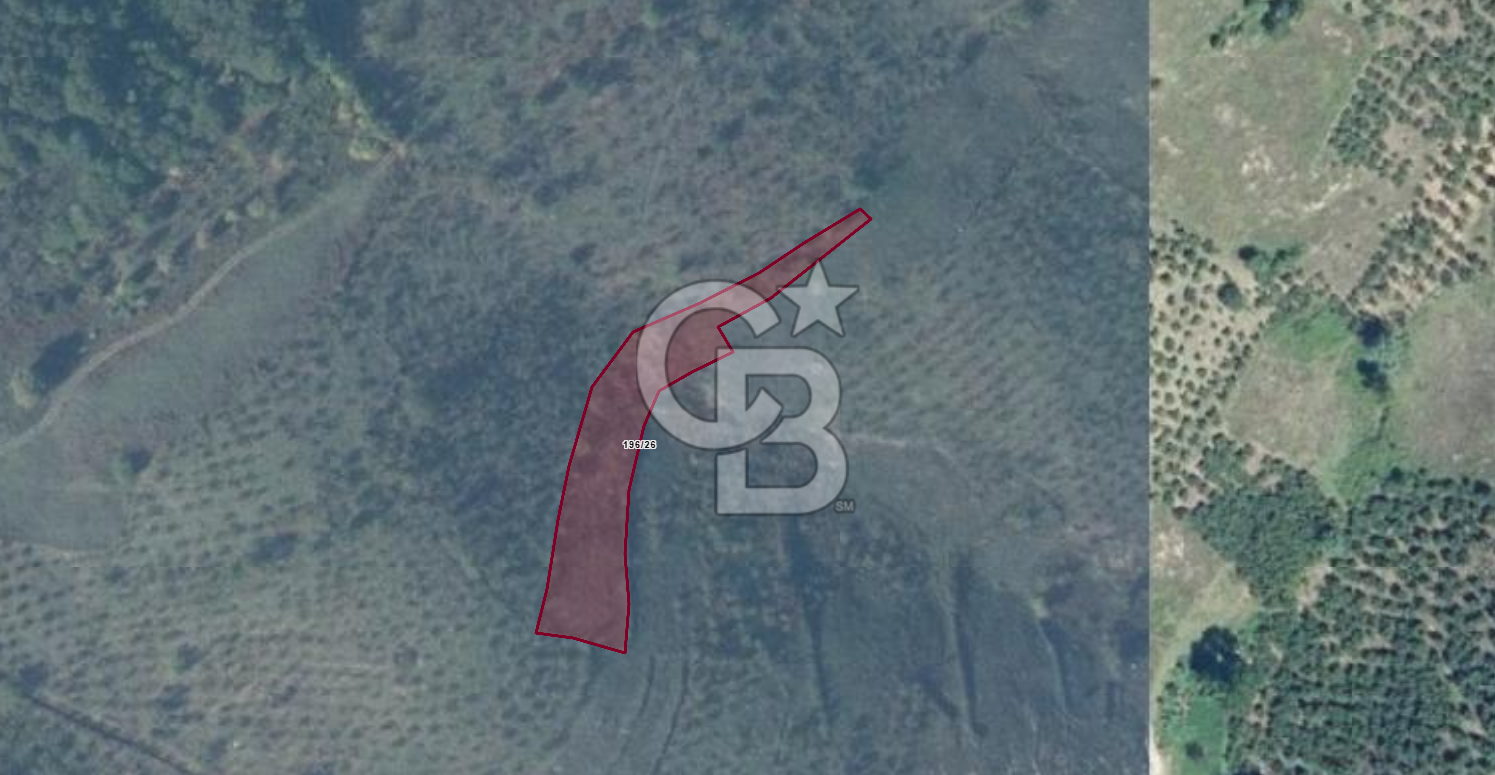 CB ÖMER ÜNSAL'DAN 1479 m² ACİL SATILIK FINDIK BAHÇESİ