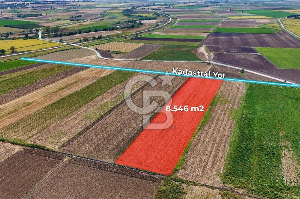 Çanakkale Tevfikiye Köyünde Satılık 8.546 m2 Tarla !