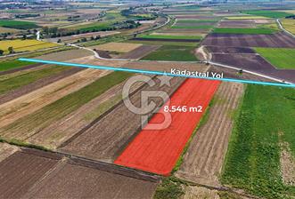 Çanakkale Tevfikiye Köyünde Satılık 8.546 m2 Tarla !