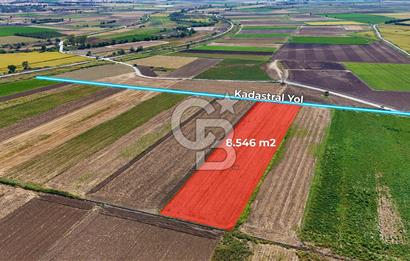 Çanakkale Tevfikiye Köyünde Satılık 8.546 m2 Tarla !