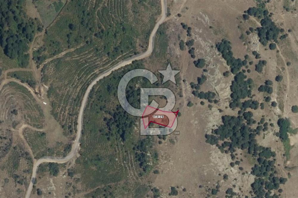 CB NETA ÖMER ÜNSAL'DAN 1049 m² UYGUN FİYATA ARSA