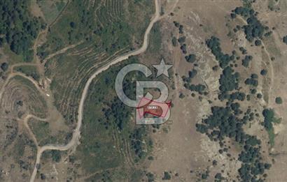 CB NETA ÖMER ÜNSAL'DAN 1049 m² UYGUN FİYATA ARSA