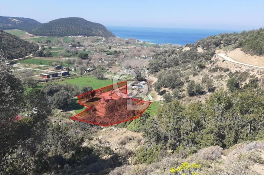 ÇANAKKALE GELİBOLU YENİKÖY SATILIK ARSA