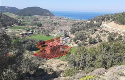 ÇANAKKALE GELİBOLU YENİKÖY SATILIK ARSA