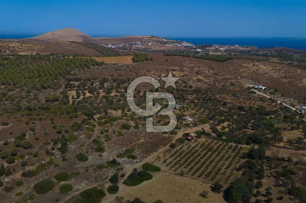 ÇANAKKALE BOZCAADA ALAYBEY’DE YATIRIMLIK 1802 M2 TARLA