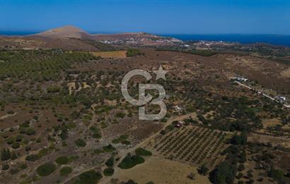 ÇANAKKALE BOZCAADA ALAYBEY’DE YATIRIMLIK 1802 M2 TARLA