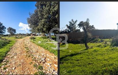 FIRSAT RAKAMA BODRUM/ KIZILAĞAÇ' TA YAŞAM BAHÇESİ