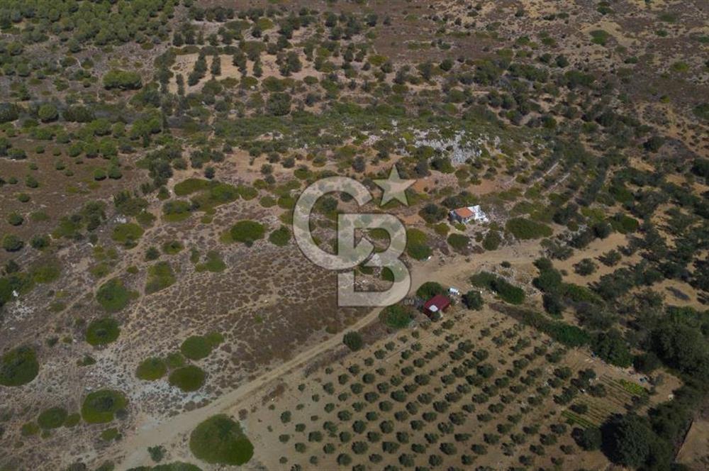 ÇANAKKALE BOZCAADA ALAYBEY’DE YATIRIMLIK 1802 M2 TARLA