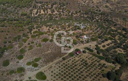ÇANAKKALE BOZCAADA ALAYBEY’DE YATIRIMLIK 1802 M2 TARLA