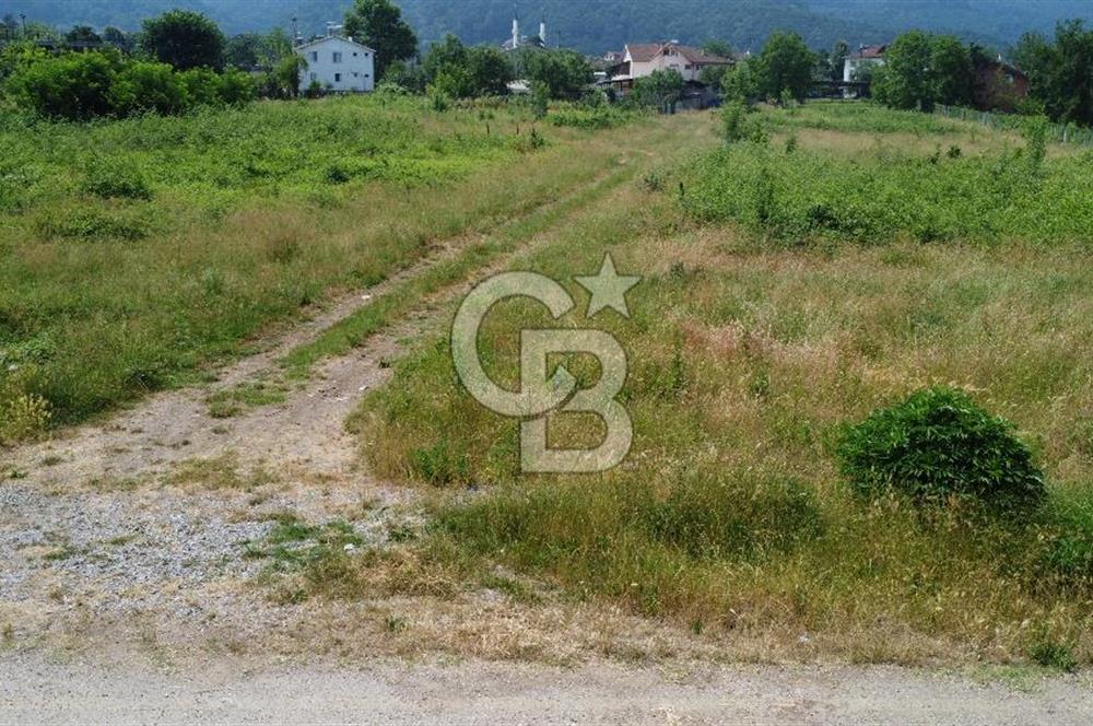 Düzce Aydınpınar Köyünde 466 mt İmarlı Arsa