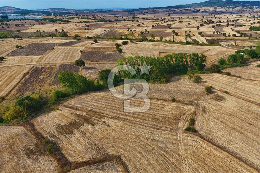 ÇANAKKALE BİGA BALIKLIÇEŞME 4250m2 SATILIK TARLA
