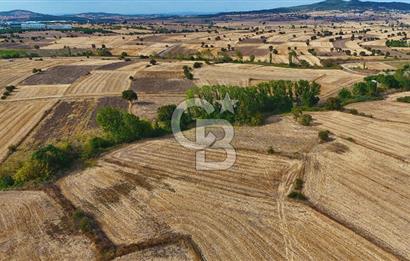 ÇANAKKALE BİGA BALIKLIÇEŞME 4250m2 SATILIK TARLA