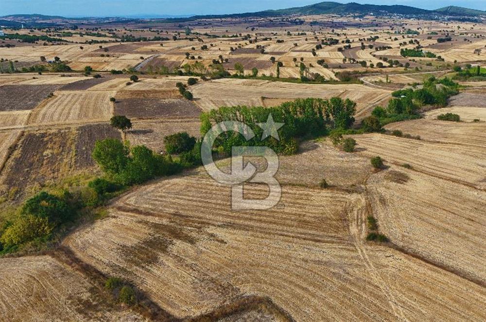 ÇANAKKALE BİGA BALIKLIÇEŞME 4250m2 SATILIK TARLA