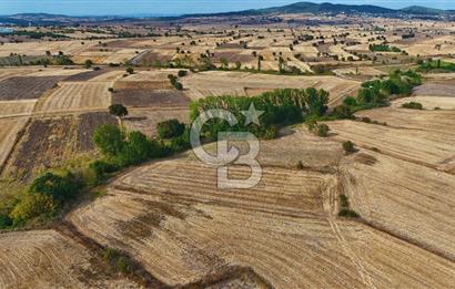 ÇANAKKALE BİGA BALIKLIÇEŞME 4250m2 SATILIK TARLA