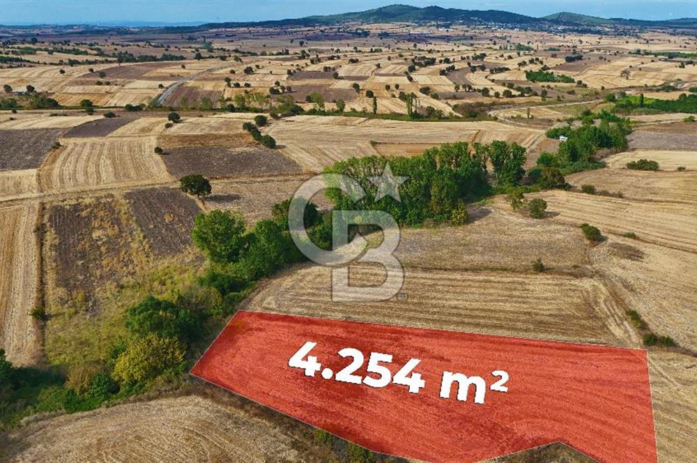 ÇANAKKALE BİGA BALIKLIÇEŞME 4250m2 SATILIK TARLA