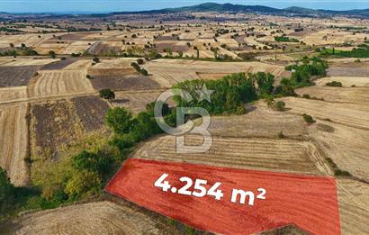 ÇANAKKALE BİGA BALIKLIÇEŞME 4250m2 SATILIK TARLA