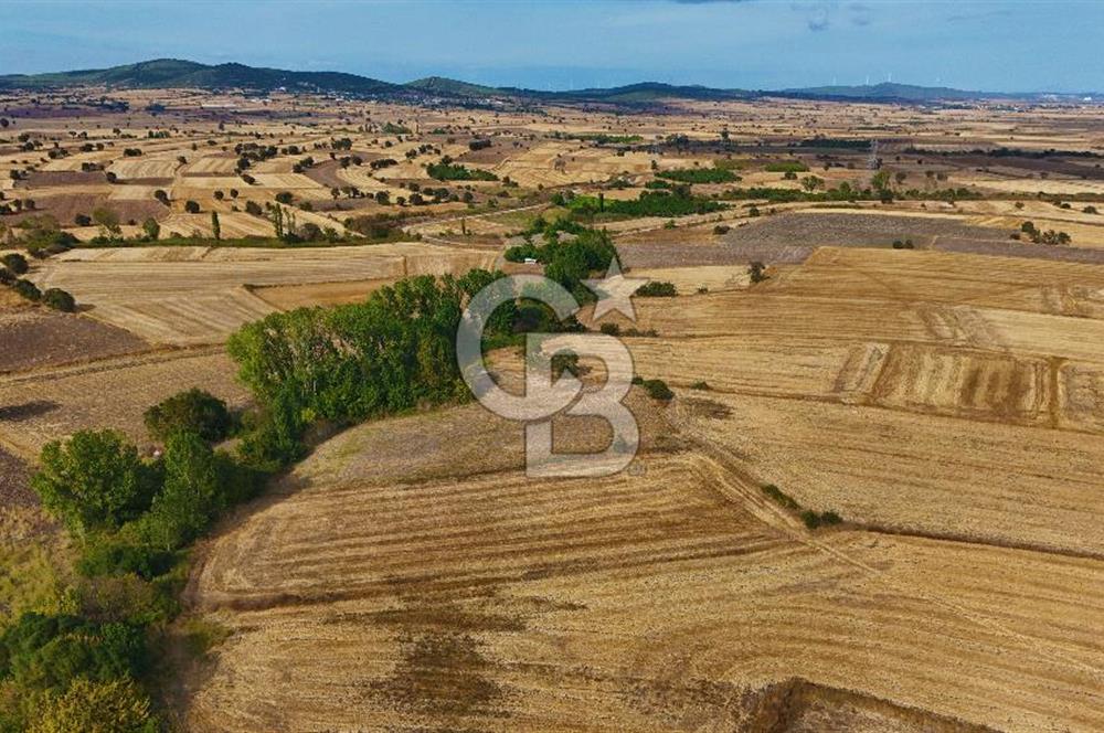 ÇANAKKALE BİGA BALIKLIÇEŞME 4250m2 SATILIK TARLA