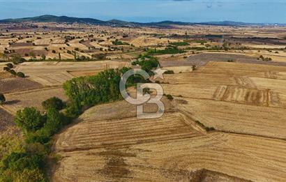 ÇANAKKALE BİGA BALIKLIÇEŞME 4250m2 SATILIK TARLA