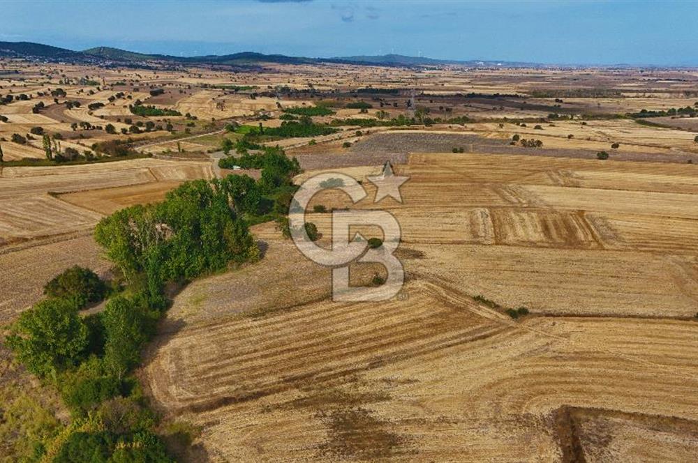 ÇANAKKALE BİGA BALIKLIÇEŞME 4250m2 SATILIK TARLA