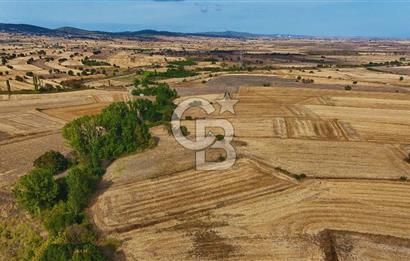 ÇANAKKALE BİGA BALIKLIÇEŞME 4250m2 SATILIK TARLA