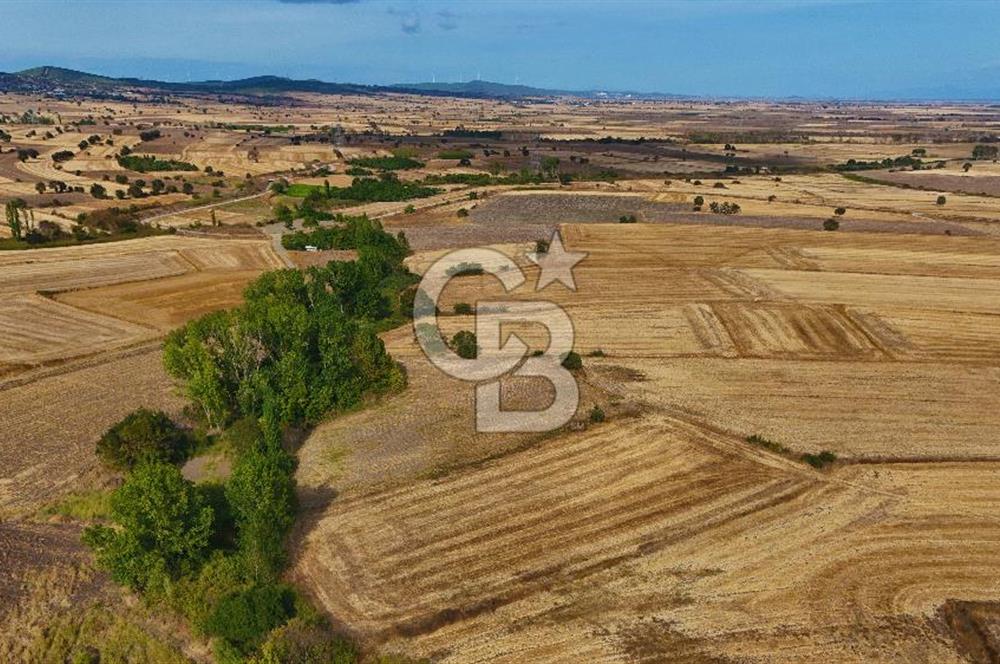 ÇANAKKALE BİGA BALIKLIÇEŞME 4250m2 SATILIK TARLA