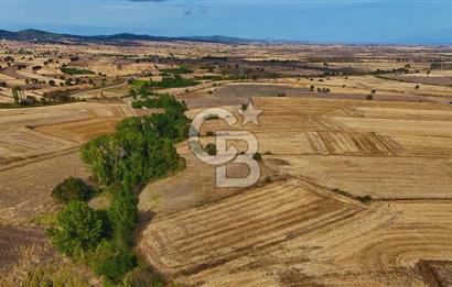 ÇANAKKALE BİGA BALIKLIÇEŞME 4250m2 SATILIK TARLA