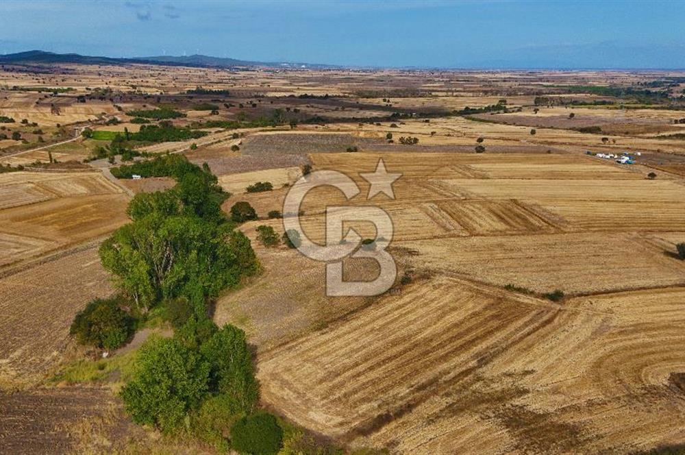 ÇANAKKALE BİGA BALIKLIÇEŞME 4250m2 SATILIK TARLA