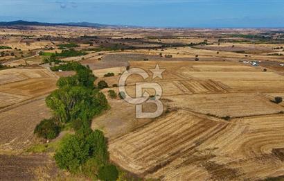 ÇANAKKALE BİGA BALIKLIÇEŞME 4250m2 SATILIK TARLA