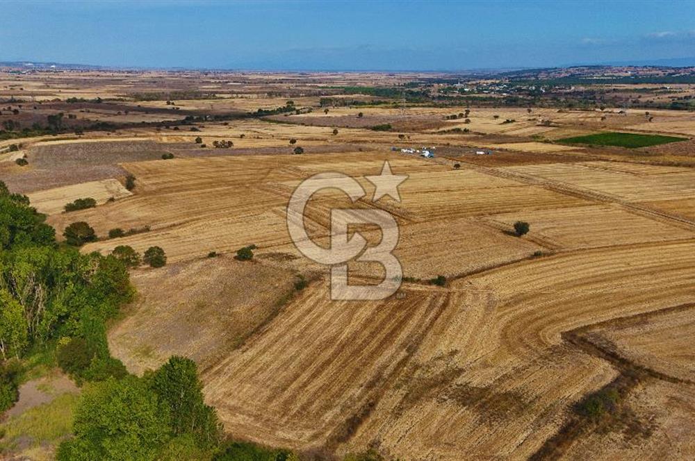ÇANAKKALE BİGA BALIKLIÇEŞME 4250m2 SATILIK TARLA