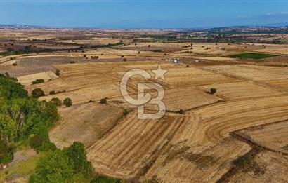 ÇANAKKALE BİGA BALIKLIÇEŞME 4250m2 SATILIK TARLA